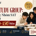 SAT Study Group: Cách Học Nhóm SAT Hiệu Quả Tăng 80–150 Điểm